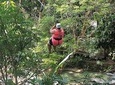 Falls Flyer Zipline and Dunn's River Falls Adventure Tour from Montego Bay