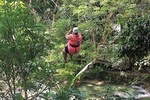 Falls Flyer Zipline and Dunn's River Falls Adventure Tour from Montego Bay