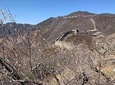 Tour Planning and Car Services with English Driver In Beijing