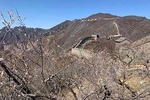 Tour Planning and Car Services with English Driver In Beijing