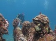 Diving in Cancun Underwater Museum of Art