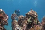 Diving in Cancun Underwater Museum of Art