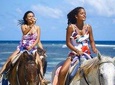 Braco Stables Horseback Ride and Swim Excursion from Runaway Bay