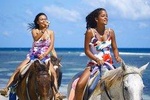 Braco Stables Horseback Ride and Swim Excursion from Runaway Bay