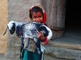 Tribal Village Tour- an authentic village visit