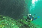 Cenotes diving 