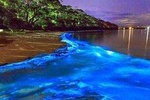 Luminous Lagoon (Glistening Waters) Private Night Tour