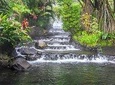 Combo Tour with Hanging Bridge,Waterfall,Volcano Hike and Tabacon Hot Springs
