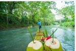 Martha Brae Rafting Private Tour 