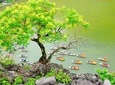 Hoa Lu, Tam Coc, Mua Cave w/ Amazing View- All Inclusive