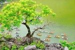 Hoa Lu, Tam Coc, Mua Cave w/ Amazing View- All Inclusive