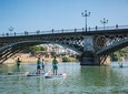 Seville: Paddle Surf Route and Class
