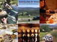 WINE & CAVA TOUR PENEDÉS: Visit 2 Wineries, wine tasting & Tapas lunch 