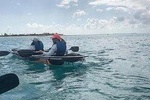 Mangrove & Iguana Clear Kayak Tour
