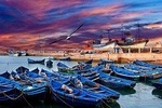 Private day trip to Essaouira from Marrakech