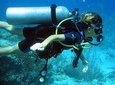 Discover Scuba Diving PADI in Playa del Carmen