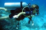 Discover Scuba Diving PADI in Playa del Carmen