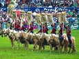 Naadam Festival 8 days and Khuvsgul Lake, Reindeer, Nomadic family