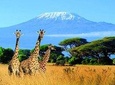 Kilimanjaro Special-( Tsavo West, Amboseli & Tsavo East Luxury Safari)