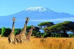 Kilimanjaro Special-( Tsavo West, Amboseli & Tsavo East Luxury Safari)