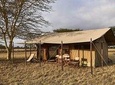 4 Day Adventure Lake Manyara , Serengeti & Ngorongoro 