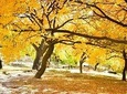 Autumn Trip to Hunza Valley & Skardu- Pakistan - (12D 11N)