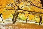 Autumn Trip to Hunza Valley & Skardu- Pakistan - (12D 11N)