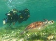 Discover Scuba Diving
