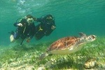 Discover Scuba Diving