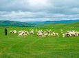 Private Transfer between Beijing and Bashang Grassland in Mulan Weichang