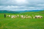 Private Transfer between Beijing and Bashang Grassland in Mulan Weichang