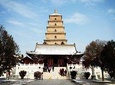 Xi'an Private Day Tour: Discover The Prosperous Tang Dynasty