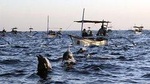 Bali Watching Dolphin at Lovina Beach