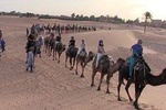 2 Days / 1 Night Excursion to Zagora (Desert) from Marrakech