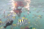 Gili Nanggu, Gili Tangkong, & Gili Kedis Snorkeling Trip