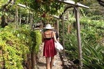 Incredible tour to a 'Faja' with a story