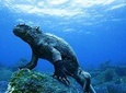 6-Day Galapagos Island Hopping Budget