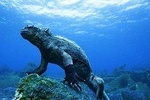 6-Day Galapagos Island Hopping Budget