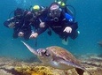 Diving for Beginners - Búzios RJ