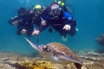 Diving for Beginners - Búzios RJ