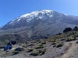 7 days Lemosho route