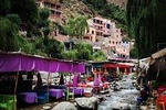 Amazing day trip to Ourika valley from Marrakech 
