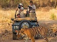 5 Days Ranthambhore Tiger Tour of Delhi, Agra, and Jaipur with 5 Star Hotel