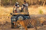 5 Days Ranthambhore Tiger Tour of Delhi, Agra, and Jaipur with 5 Star Hotel