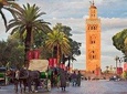 Historical and cultural private tour of Marrakech (half day)