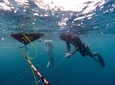 Level 1 Freediver: 1 Breath, 2,5 days, -20 Meters