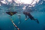 Level 1 Freediver: 1 Breath, 2,5 days, -20 Meters