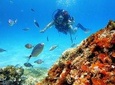 Mallorca: Try Scuba Diving in a Beautiful Nature Reserve