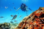 Mallorca: Try Scuba Diving in a Beautiful Nature Reserve