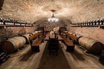 Barolo Wine and Food Tasting at Piedmont Region Winery